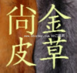 ����h�ĵ��f�(zh��n)�н�Ƥëُ�N̎