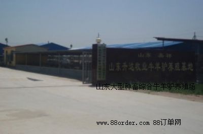 ɽ�|���ͷN��C��ţ���H�B(y��ng)ֳ��