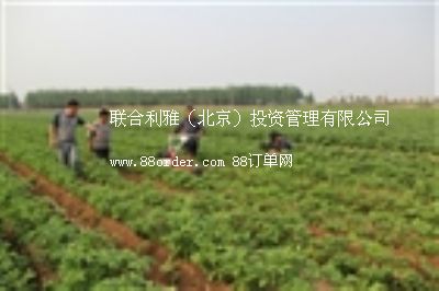 �߲˲��N�Cе С���߲˲��N�C