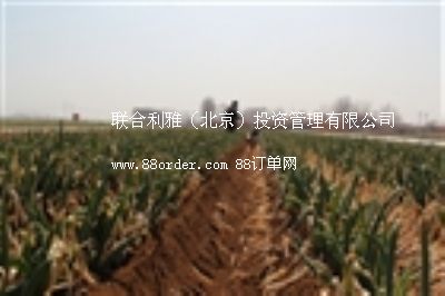 �߲˲��N�C�r�� �๦���߲˲��N�C