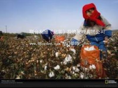 С�Ͳ��ޙC �Ґ۰l(f��)�����ޙCҕ�l �P˹���ޙCҕ�l