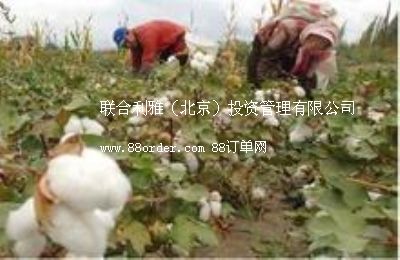 ���ޙC �����ز��ޙC ��yʽ���ޙC �P˹���ޙC