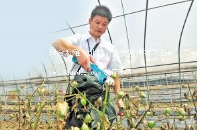 �s���Ϡ����ޙC(j��) С�Ͳ��ޙC(j��) �P˹���ޙC(j��)