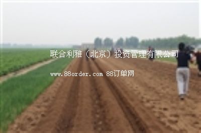 ���N�C �߲˲��N�C �Ґ۰l(f��)�����N�C