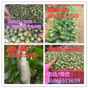 �H���к�ͤ�^(q��)���x�Ϲ��߲ˌ��I(y��)������