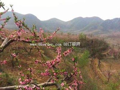 ����������Ʒ�r(n��ng)�񌣘I(y��)������