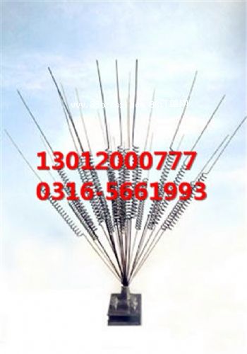 �(q��)�B���������(q��)�B��,