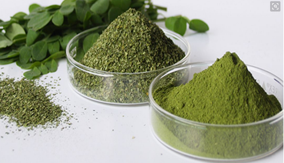 ��ľ�~��Ƭ�ǹ����ӹ�