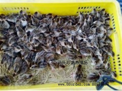 ��(y��u)�|(zh��)�����u�����l(f��)