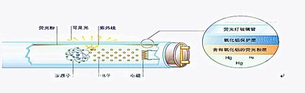 �ɹ�۱��o(h��)Ĥ �ɹ��ճ�Y(ji��)��