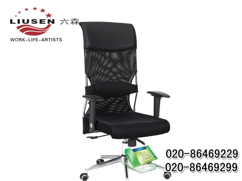 ��ɭ���¹���(y��ng)�¿�W(w��ng)�������