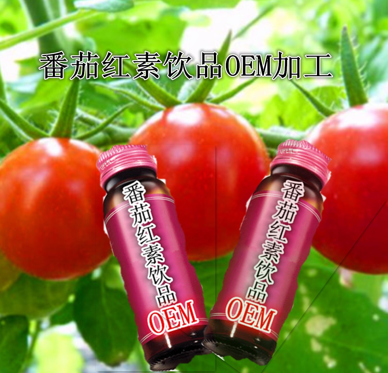 004ms8jdzy6lxgurq5h21&690_副本