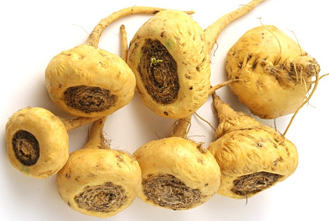 qq截圖20141011100502