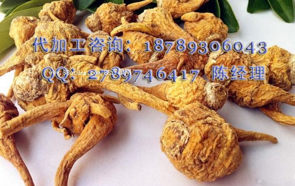 ������ϼӹ���30ml�zԭ�����Ʒ�ӹ�