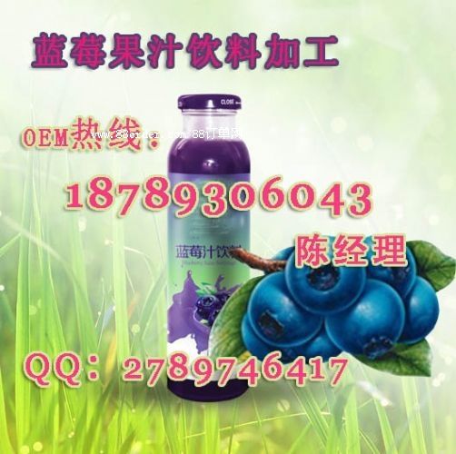 �{(l��n)ݮ��֭��ϼӹ���30ml��ݮ�Ʒ�N��