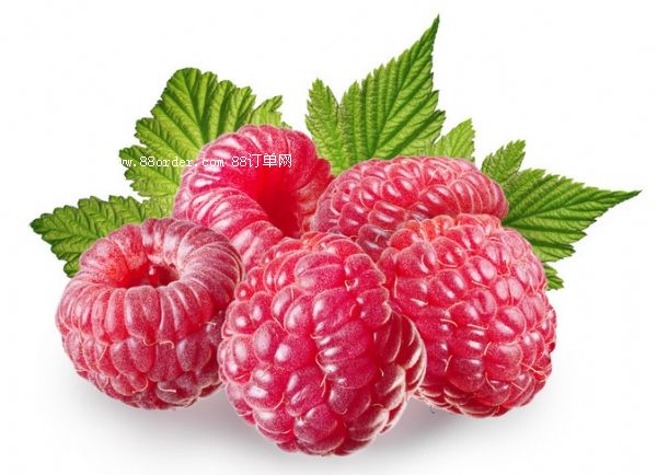 ��ݮ�Ʒ�ӹ�oem��������Ʒ�N�ƏS��