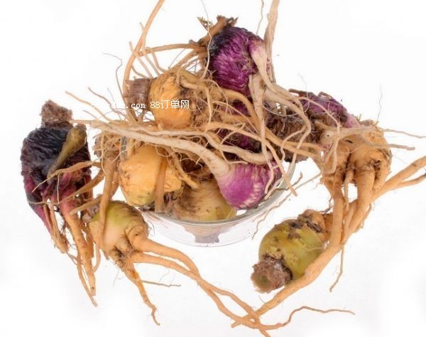 �����ƷOEM��30ml��50ml�����M(j��n)�ځ��ϼӹ����b