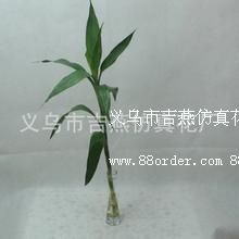 �x���м�����滨�S