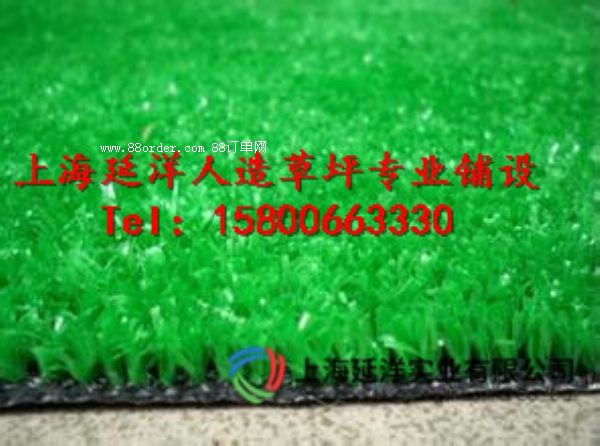 ��������ƺ��������