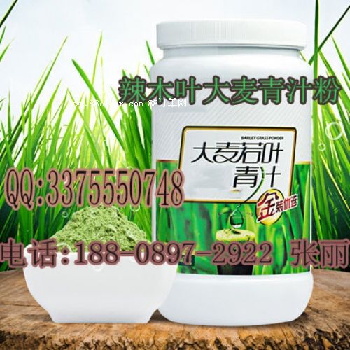 ��ľ�~������֭�۴��ӹ�