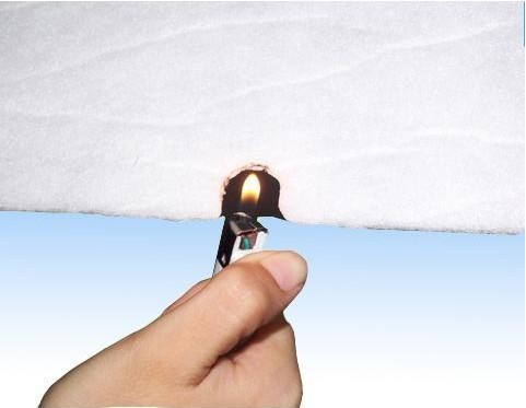 ��������ȼ