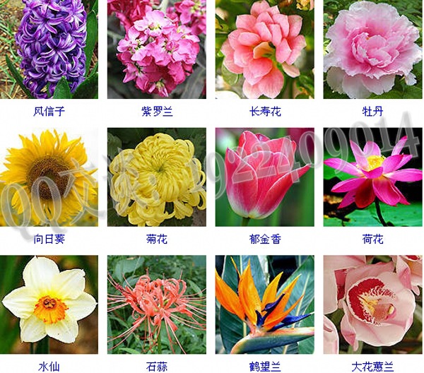 �ݱ�ֲ���o�wƷ�ӹ�