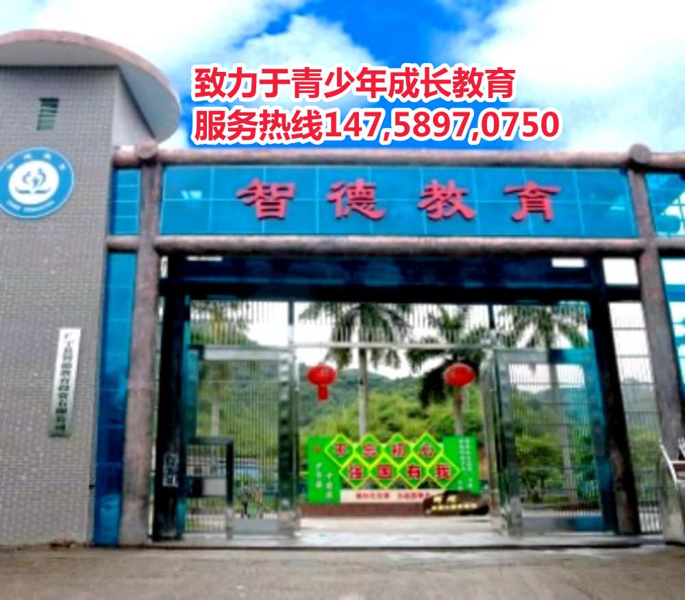 智德教育 智德教育