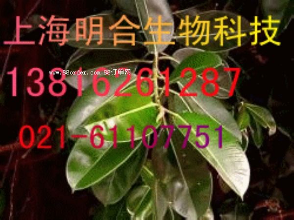 ӡ�Ș�(sh��)�z