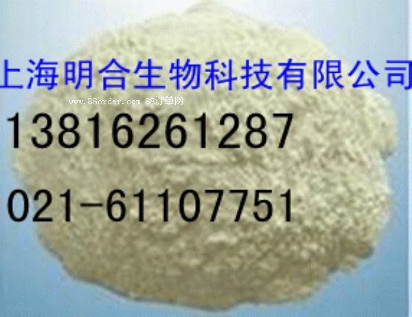 �ȼ׻������c