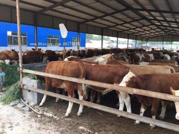 �����Sţţ�كr(ji��)��