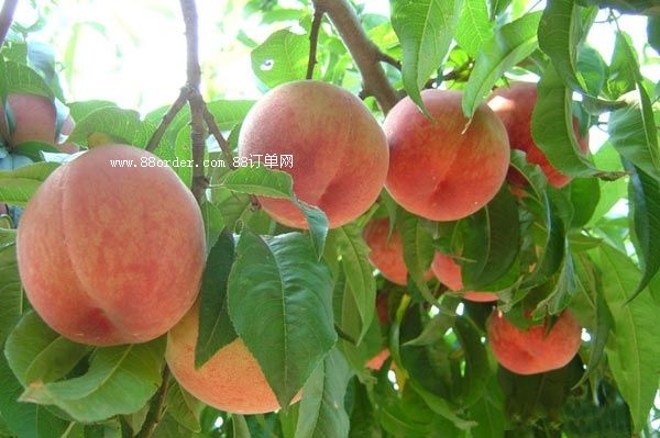 ������҉���_����������A������õ����նY��