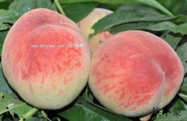 ���ڵ�������������u_��С��������һ���������ҰٳԲ���