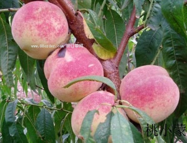 ���������ô�I_��С���������ȫ����óԵ�ˮ����