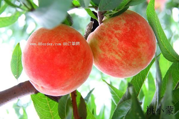 ���ˮ���ҾW(w��ng)�j(lu��)�N��(li��n)ϵ��ʽ_��С��������ҾW(w��ng)�j(lu��)�N��������ͨ