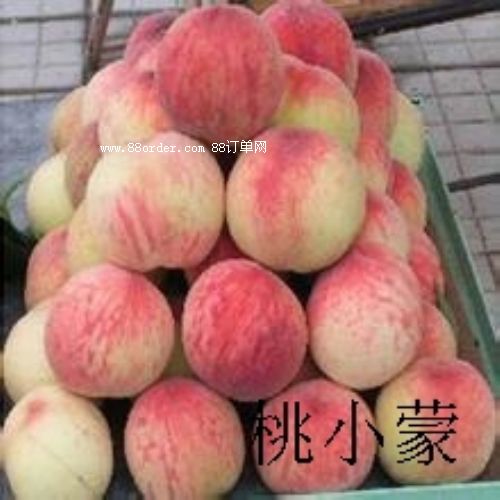 ����������l(f��)�r��_��С�����������Ʒ�|(zh��)ȡ����ʳƷ��ȫȡ��