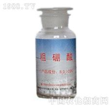 88ӆ�ξW(w��ng)