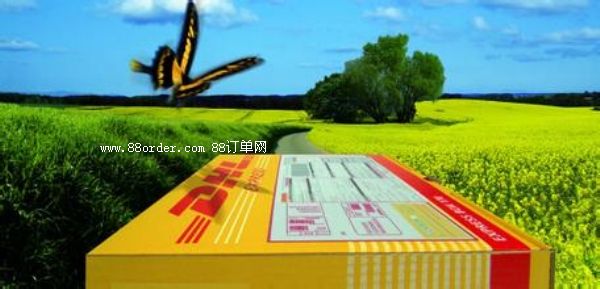 DHL,UPS,FEEDX,���H���f������ݕrЧ