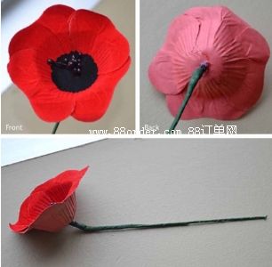 ��ُ�tɫ��ֲ�q��