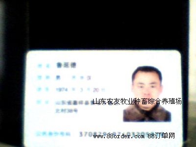 ɽ�|�r�����I(y��)�N��C���B(y��ng)ֳ��