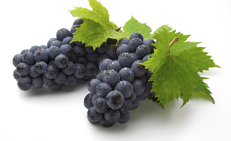 葡萄3