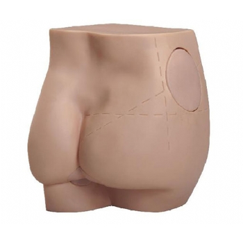 �β�ע�䌍��ģ��