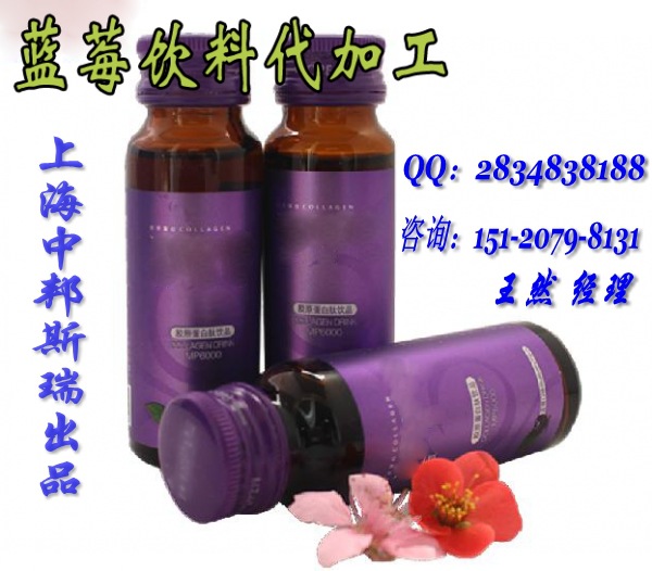 藍(lán)莓果汁_conew1