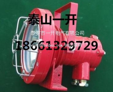 DGS24/127L�V�ø�����LEDͶ���