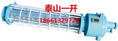 �V����������L�Σ�