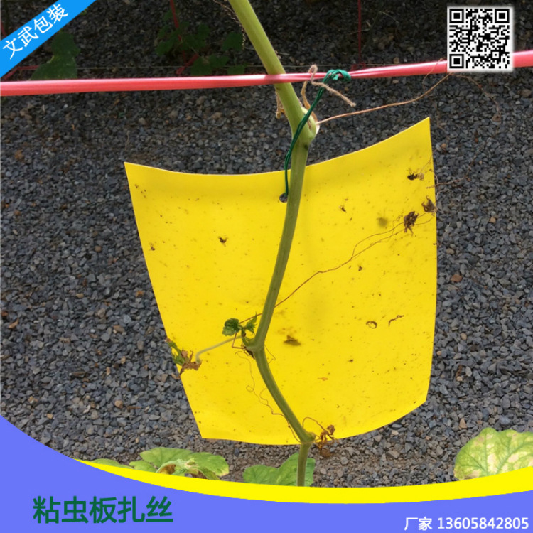 0.4520cm����_meitu_36