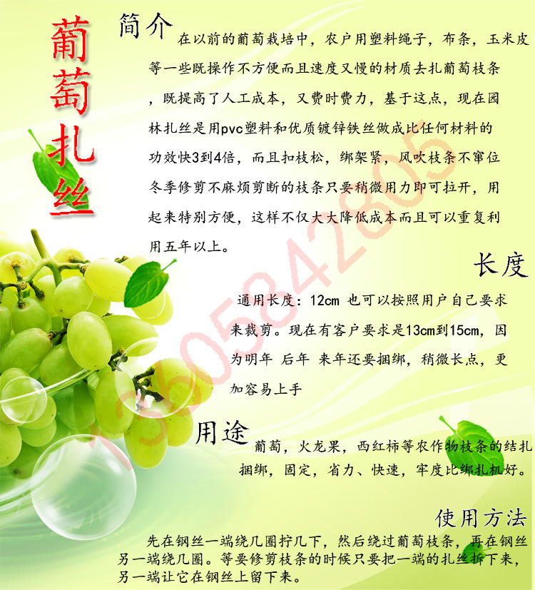 �������z����