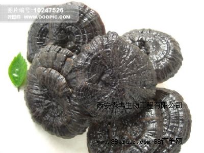 �W(w��ng)�j���N�`֥��ȡ��/�`֥����