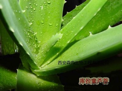 �W(w��ng)�j���N�J�C��ȡ��/�J�C߰