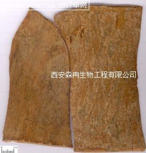 �W(w��ng)�j���N�����ȡ��