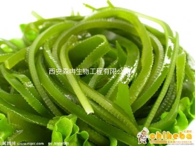 �W(w��ng)�j���N������ȡ��/������ȡ��